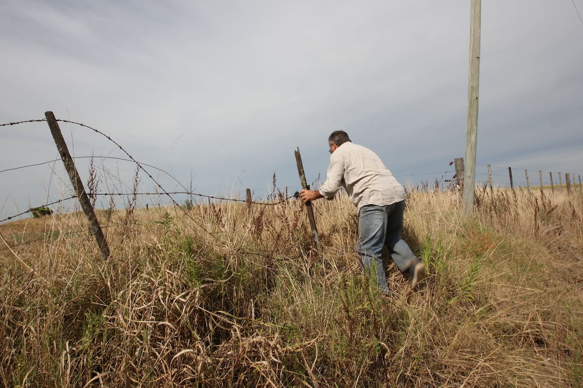 Asesinatos, roturas de silobolsas, quemas de campos y robos de ganado son algunos de los delitos por los que la dirigencia rural reclama soluciones