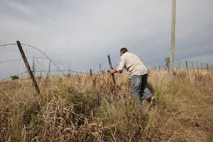 Asesinatos, roturas de silobolsas, quemas de campos y robos de ganado son algunos de los delitos por los que la dirigencia rural reclama soluciones