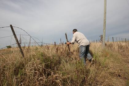 Asesinatos, roturas de silobolsas, quemas de campos y robos de ganado son algunos de los delitos por los que la dirigencia rural reclama soluciones