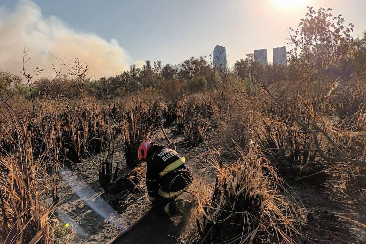 Así combatían el incendio en la Reserva Ecológica este domingo a la mañana