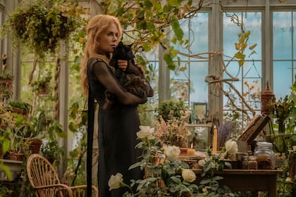 Así como sucedía en la película anterior, las mujeres Owen se enfrentan a la maldición heredada por generaciones, que condena a muerte a los hombres de quienes se enamoren