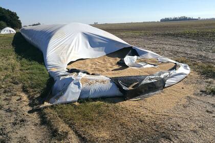 Una rotura de silobolsa en los últimos días en San Jerónimo Sud, Santa Fe