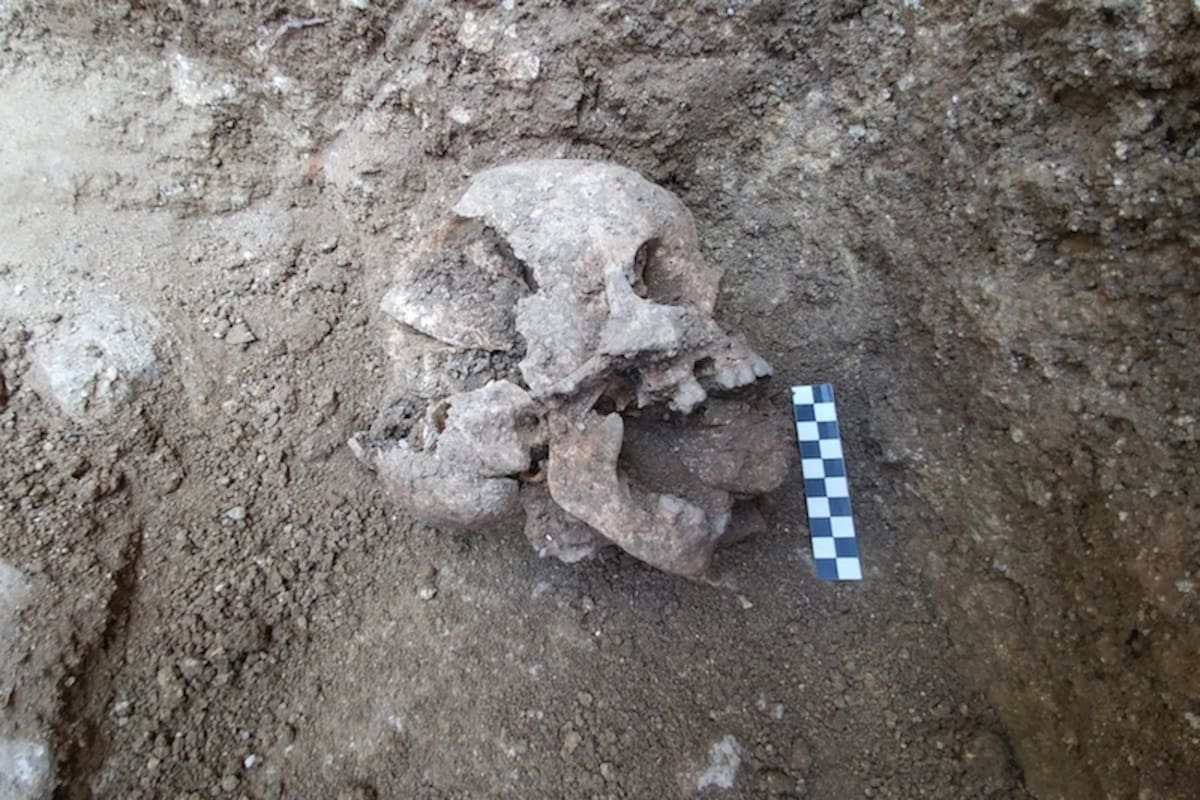 Así encontraron el cráneo del pequeño "vampiro" de hace 1500 años