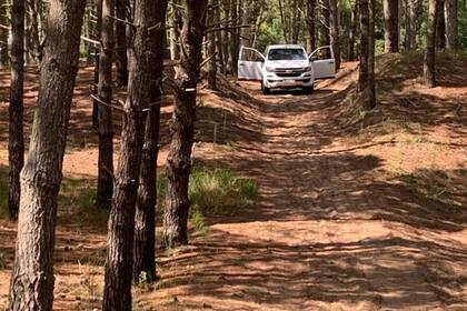 Así era el camino clandestino que conectaba a la ciudad de Pinamar con la Ruta 11