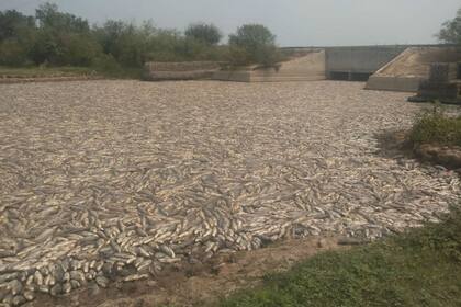 Así era el paisaje de las ultimas horas sobre el embalse