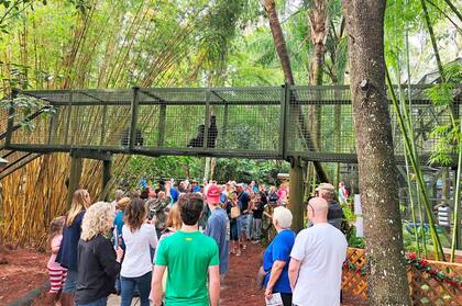 Así es el Center for Great Apes, de Florida, Estados Unidos