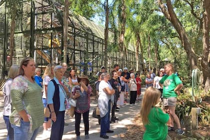 Así es el Center for Great Apes, de Florida, Estados Unidos