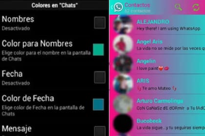 Así es el chat de WhatsApp Plus
