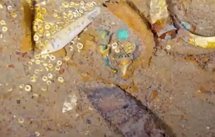 Así es el collar hallado en el Titanic: de oro y con un diente de megalodón