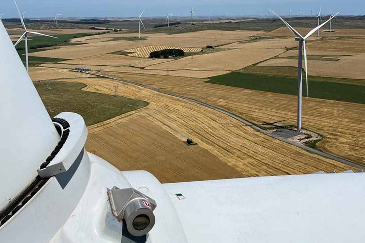 Así es el parque eólico Los Teros de YPF Luz, en Azul.