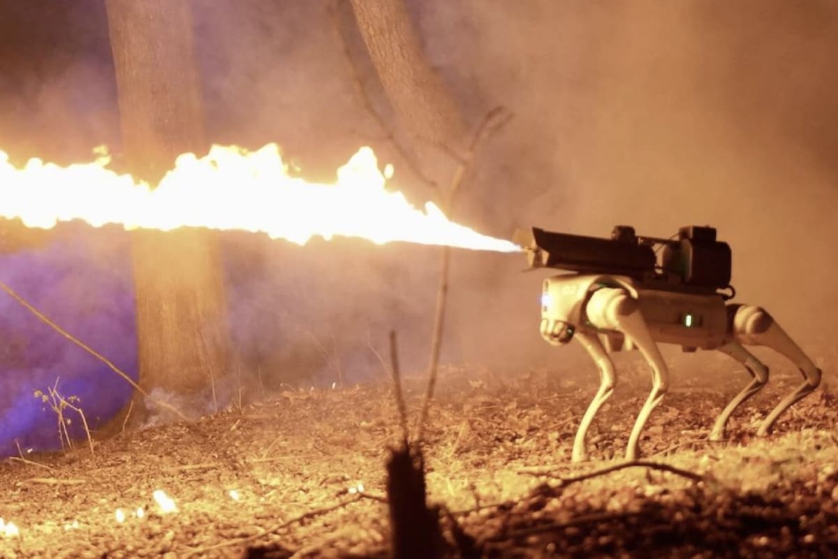 Así es el perro lanzallamas que se puede comprar en Estados Unidos