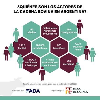 Así es la cadena de la carne hoy en la Argentina