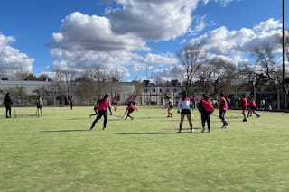 Cómo es el plan del Municipio de San Isidro y el CASI para renovar un predio