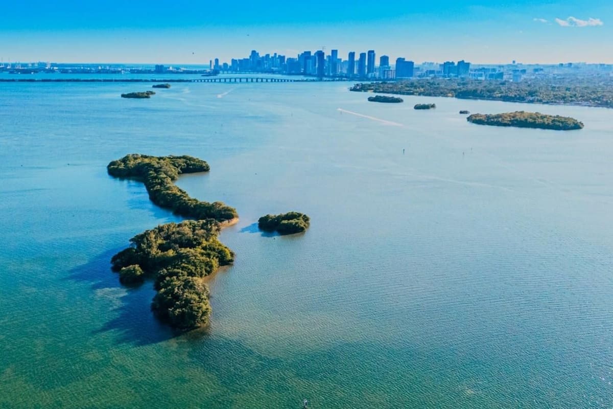 Así es la isla paradisíaca a la venta frente a Miami