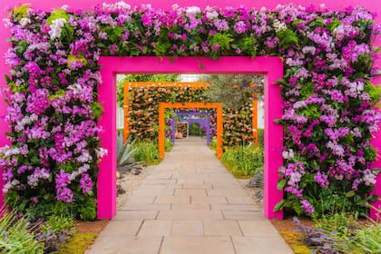Así es la muestra de orquídeas 2025 del jardín botánico de Nueva York