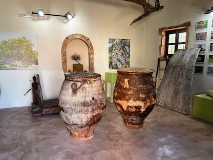 Así es por dentro el Museo del Olivo de Vouves