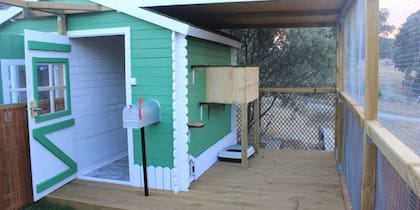 Así es una habitación en el primer hotel para gatitos de Madrid. Foto: Gatosphere