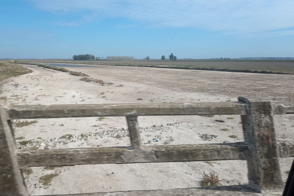 Así está el Río Salado, en la provincia de Buenos Aires, producto de la sequía que azotó al país