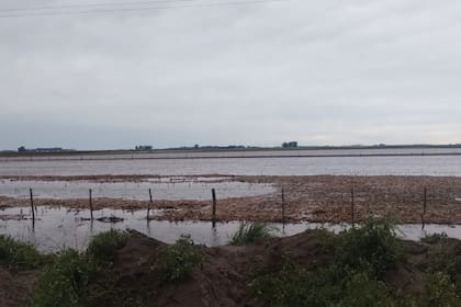 Así está un campo hoy en Bolívar tras las lluvias