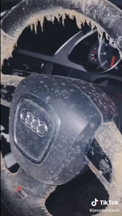 Así estaba el auto de la tiktoker (Foto: TikTok jessdavisaust)