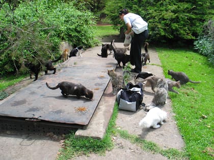Así estaba el Botánico en 2008