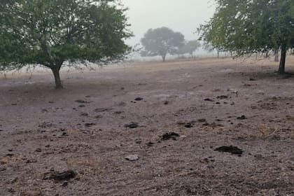 Así están los campos del productor