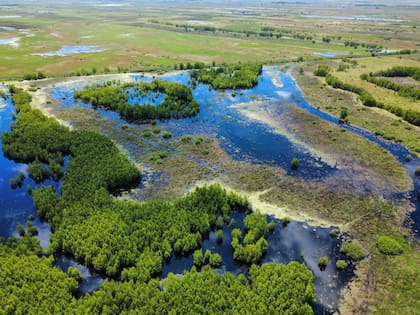 Así están los campos sobre la ruta nacional 174