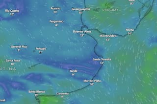 Así estará el clima en el AMBA esta primera semana de agosto