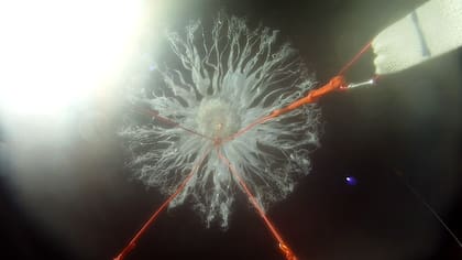 Así explota un globo sonda a 30 km de altura