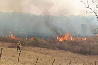 Uno de los campos que sufrieron incendios; los productores apuntan a "personas extrañas"