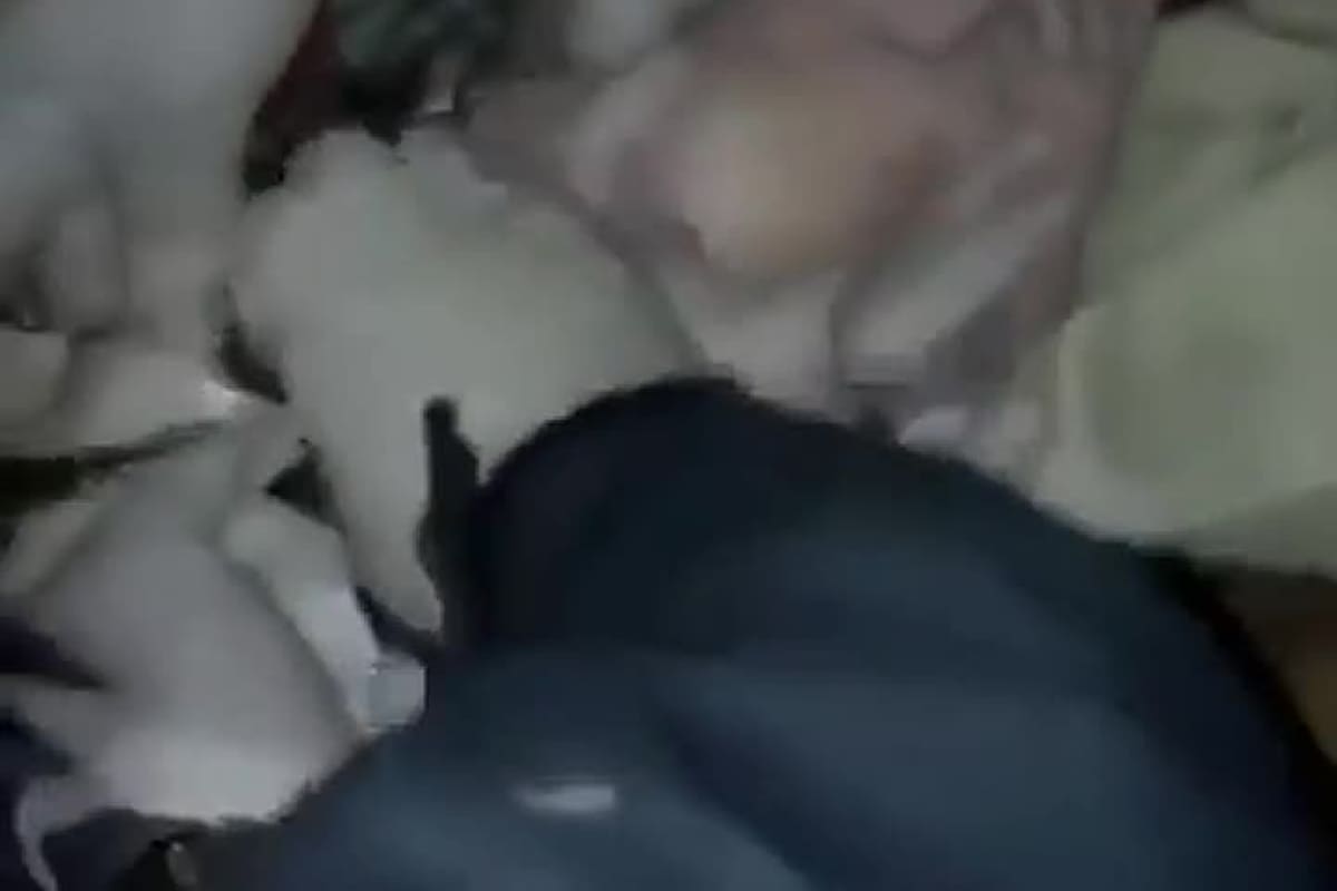 Así fue el parto con asistencia de agentes de la Policía Bonaerense