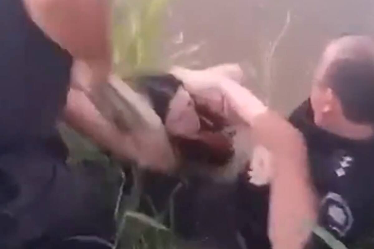 Así fue el rescate de la influencer "Milky Dolly", que casi muere ahogada en el Río Coronda, en Santa e