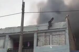 Así fue el rescate de los 25 perritos en Perú