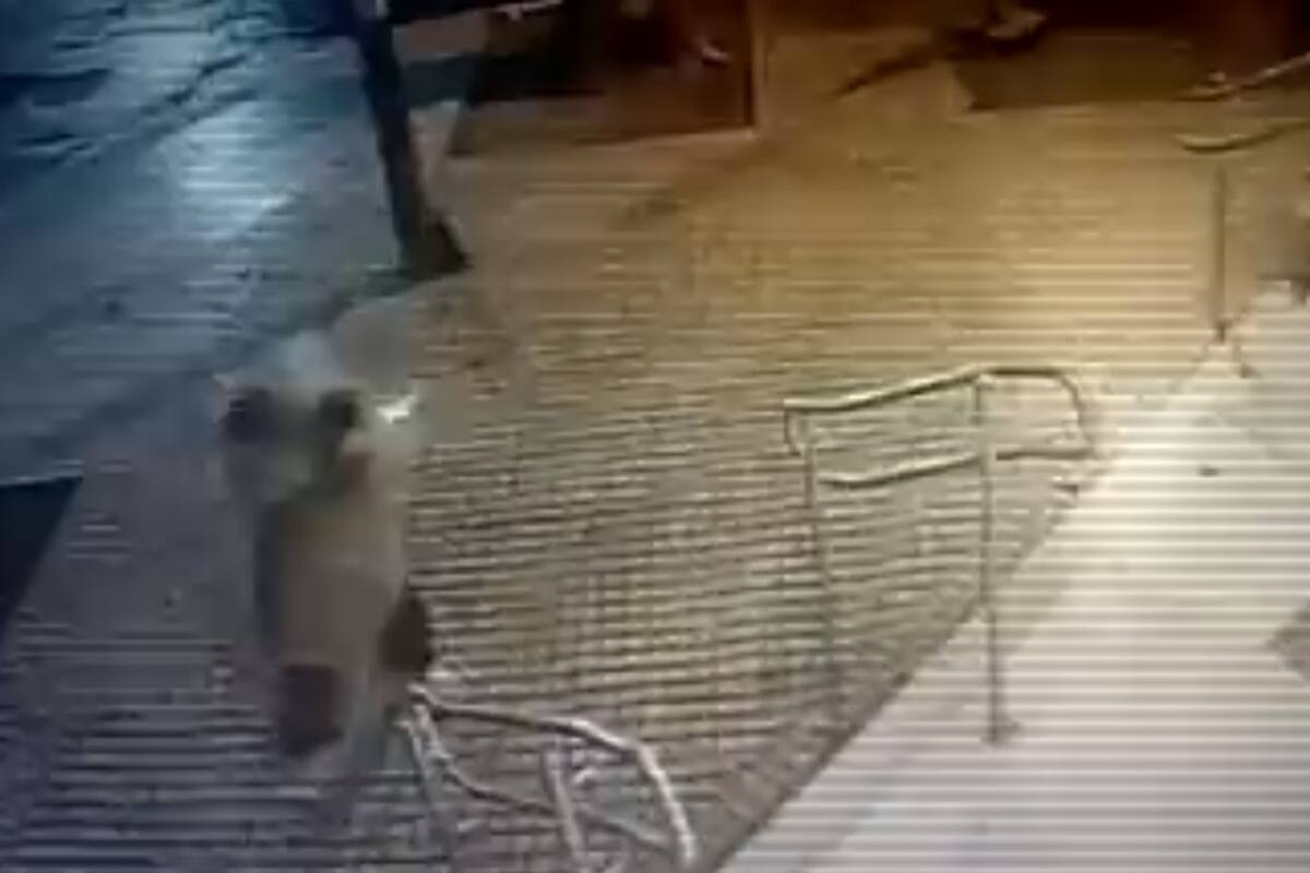 Así fue la balacera en Granadero Baigorria