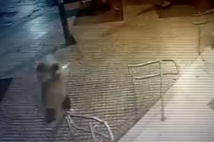 Así fue la balacera en Granadero Baigorria