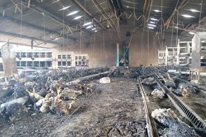 Así había quedado uno de los galpones afectados por los incendios