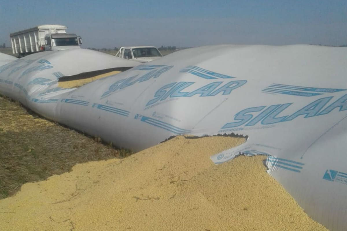 Así le dejaron el silo de donde sacaron la mercadería