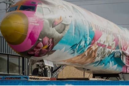 Así luce el avión que habría pertenecido al capo colombiano (Foto: Swns)