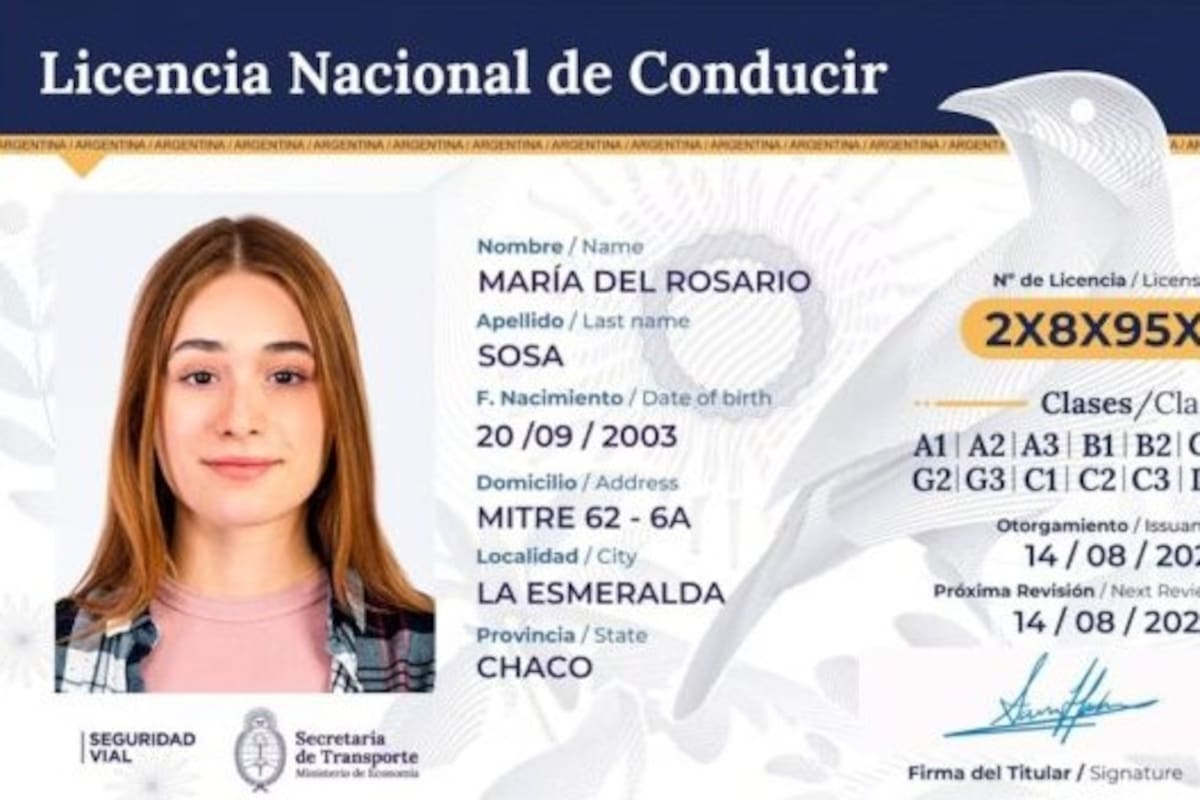 Así luce la nueva licencia de conducir digital