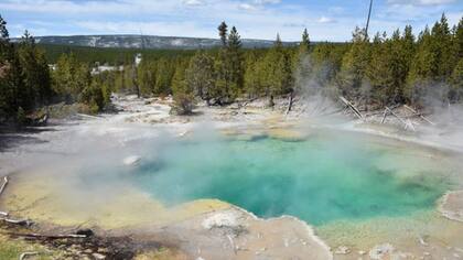 Así lucen las fuentes termales en el área de la cuenca de géiseres de Norris en Yellowstone