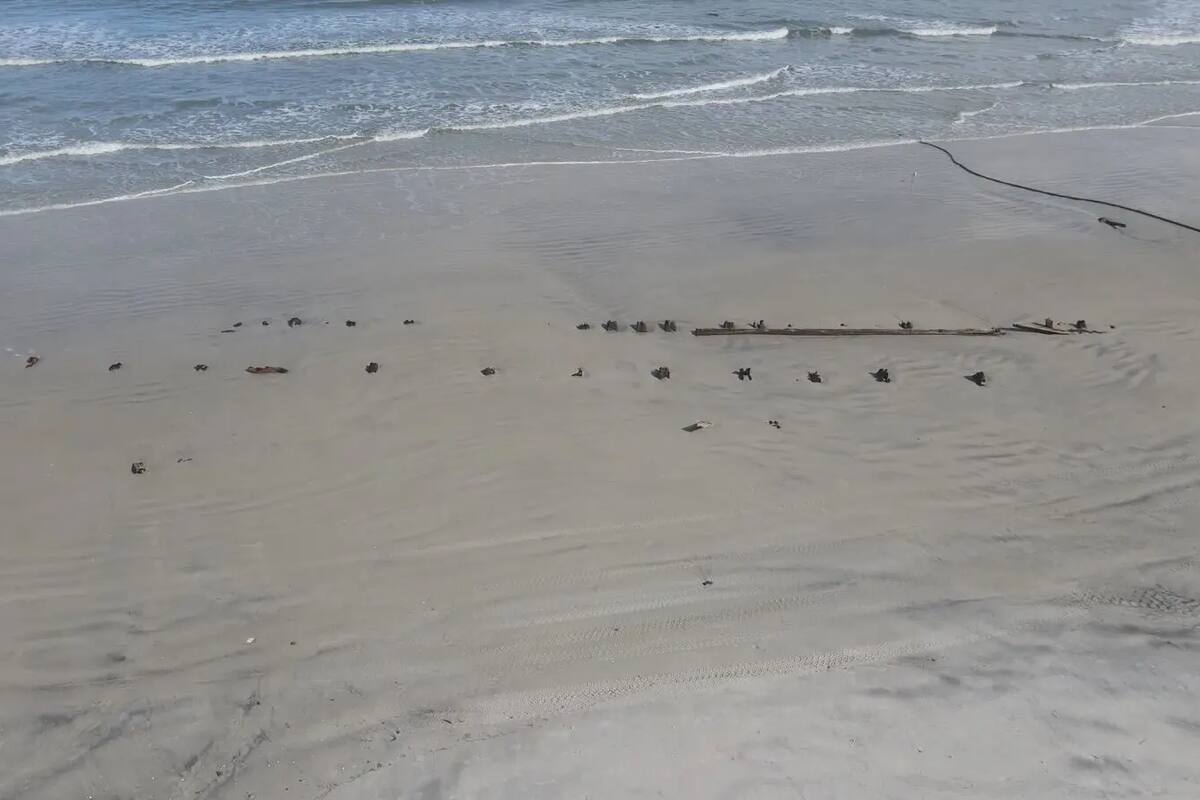 Así lucen los pedazos de madera del objeto encontrado en Florida