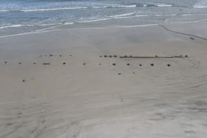 Así lucen los pedazos de madera del objeto encontrado en Florida