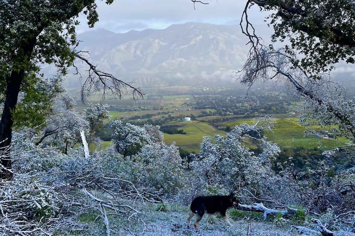 Así lució el paisaje durante el jueves en la zona de Santa Cruz Mountains al oeste del condado de Santa Clara, California