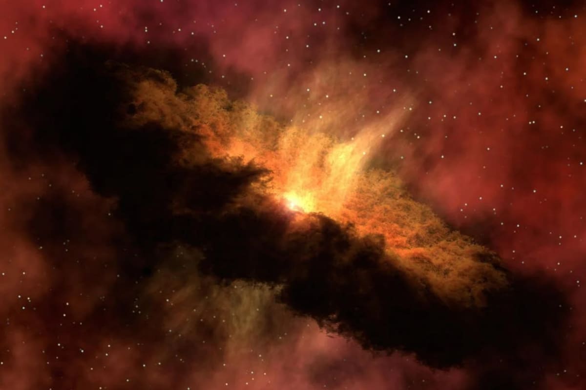 Así podés conocer qué sucedía en el universo en el día que naciste (Foto Pexels)