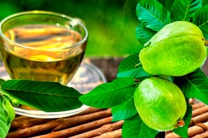 Así podés preparar el té de guayaba para controlar el colesterol