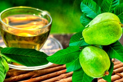 Así podés preparar el té de guayaba para controlar el colesterol