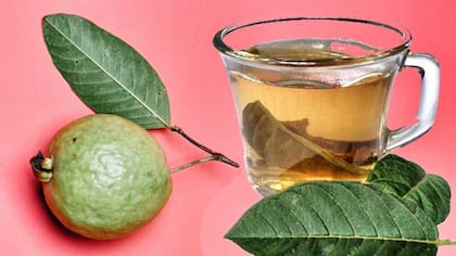 Así podés preparar el té de guayaba para controlar el colesterol