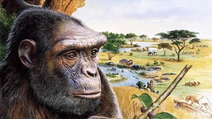 Así podría haber sido Toumaï. Una ilustración de Sahelanthropus tchadensis. Christian Jegou