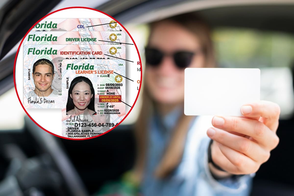 Así puedes obtener tu Real ID en Florida