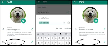 Así queda el estado en blanco de WhatsApp